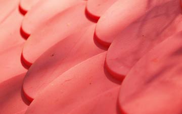 Belsay plastic roof costs