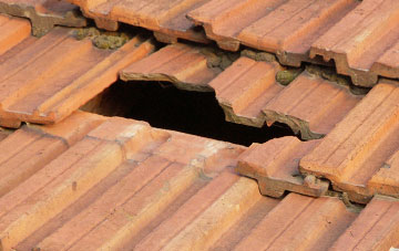 roof repair Belsay, Northumberland